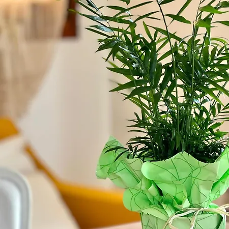 בית נופש Terezza Alba *